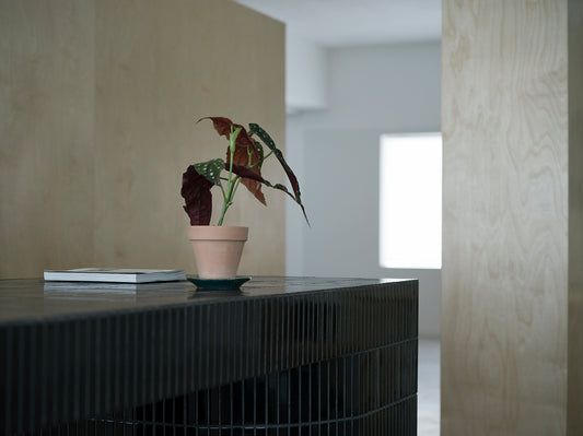 Nornagesta office