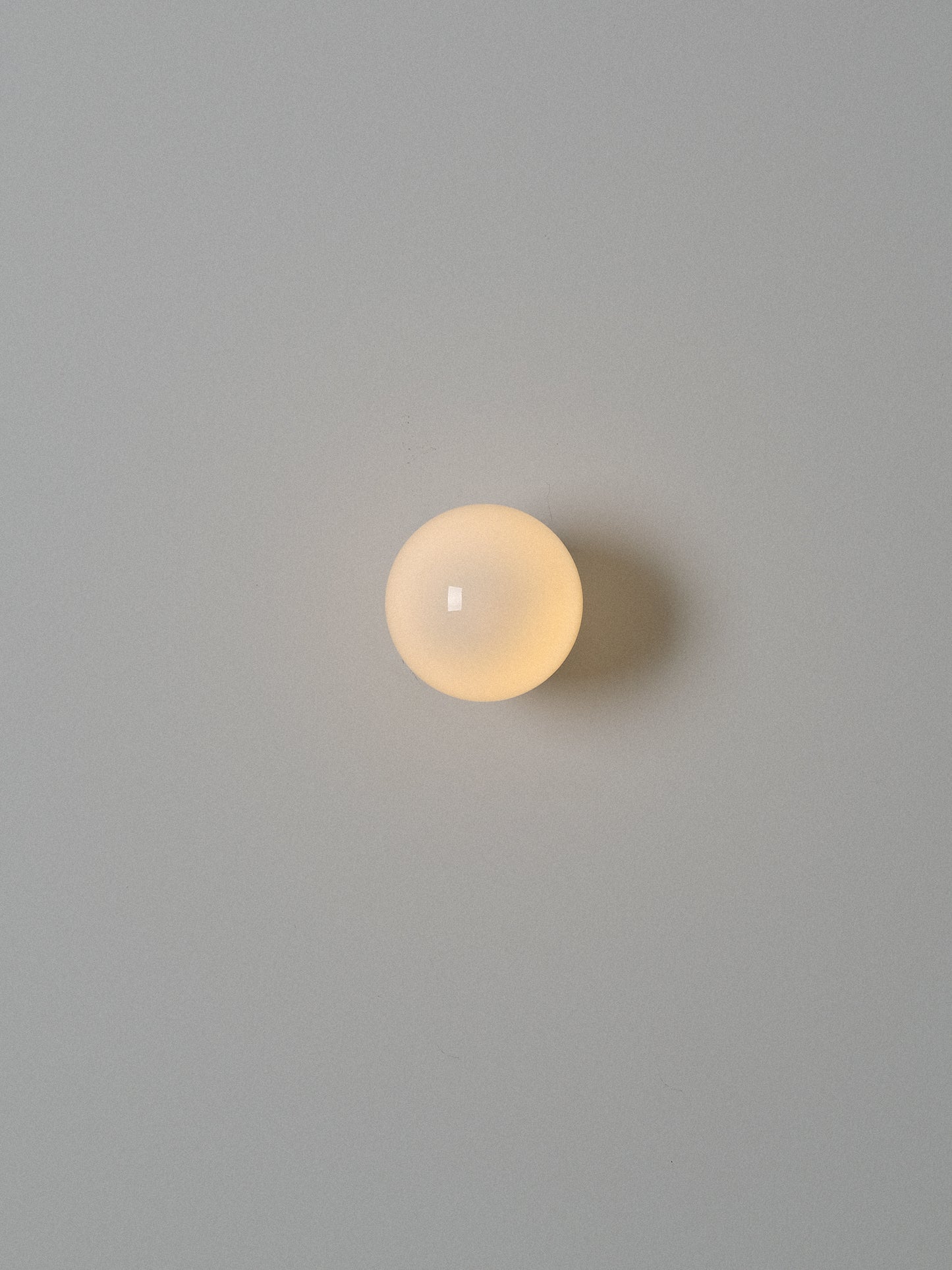 1018240231